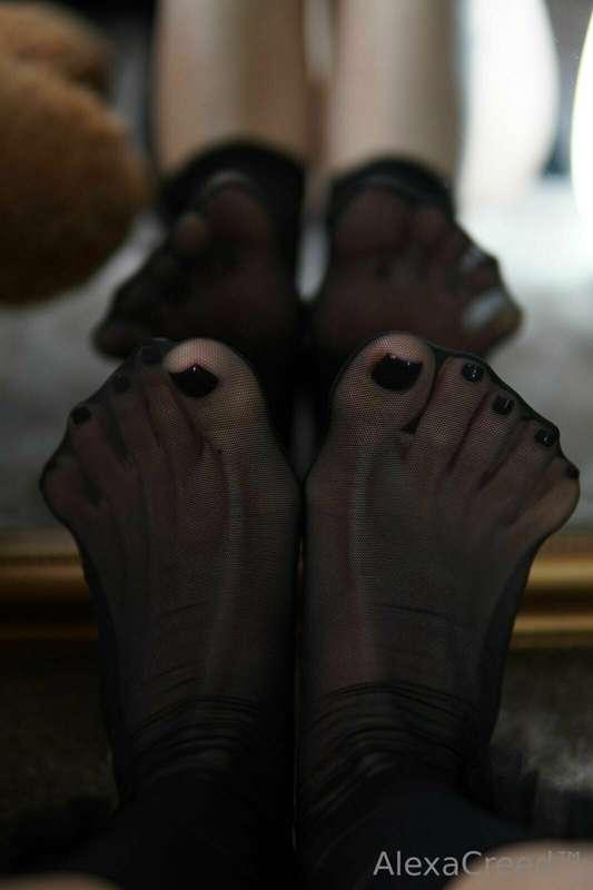 Like if you are a toes and feet guy 😈 (nylons on them make t..