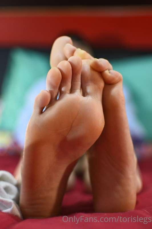 torislegs image #17