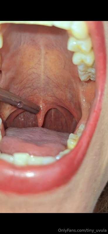 I am literally watering my uvula. It gets quite wet back the..