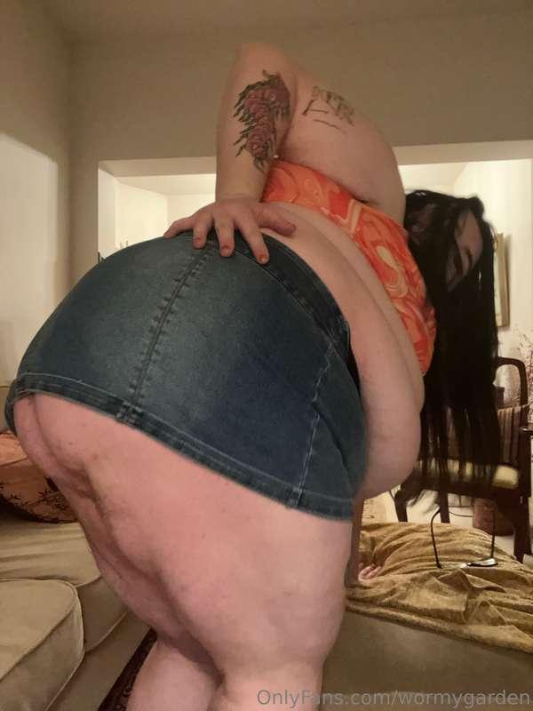 wormygarden image #2