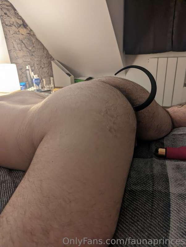 Hi sweethearts, I'm currently raising funds to get my puppy ..