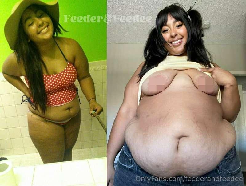 feederandfeedee image #1