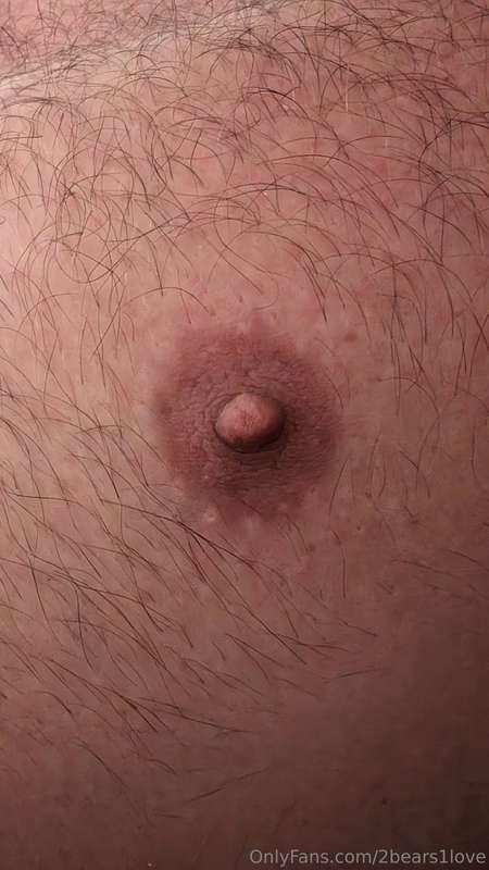 2bears1love image #6