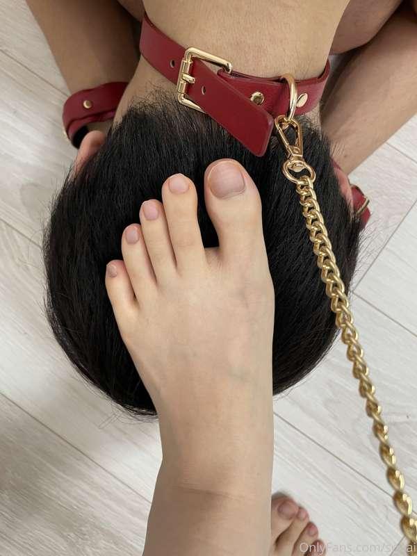 souai image #1