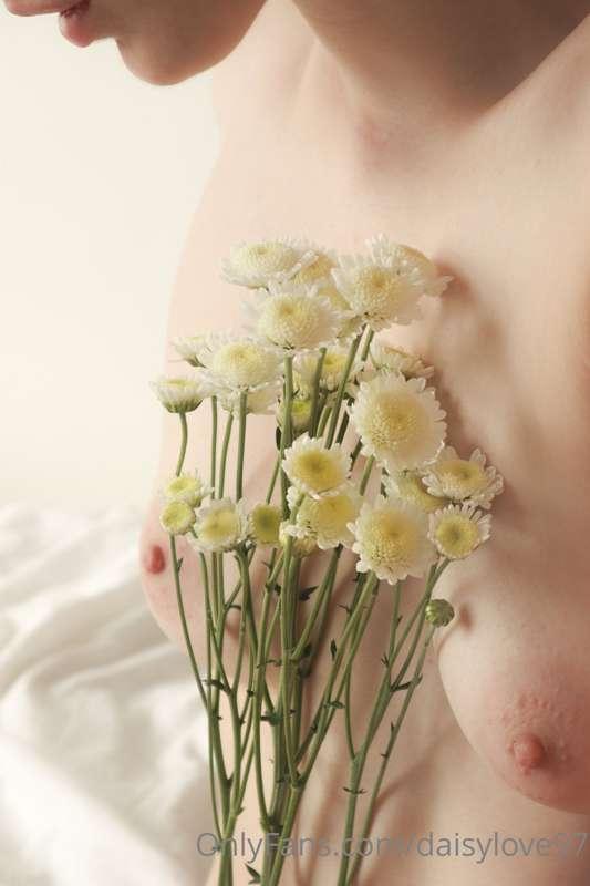 daisylove image #0