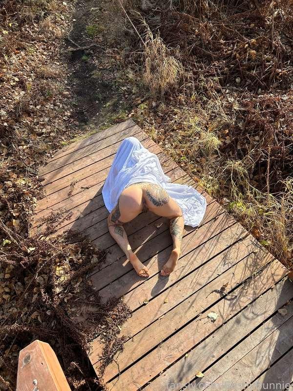 bushybunnie image #18