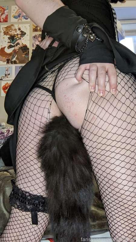 catboyzion image #10