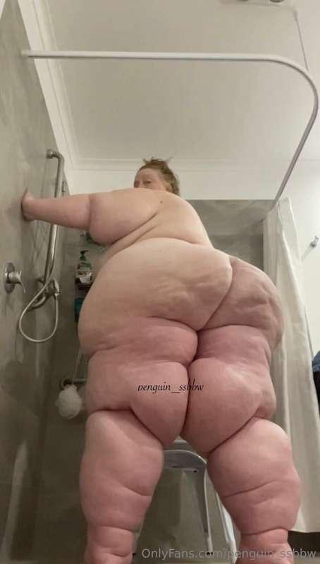 penguin_ssbbw image #0