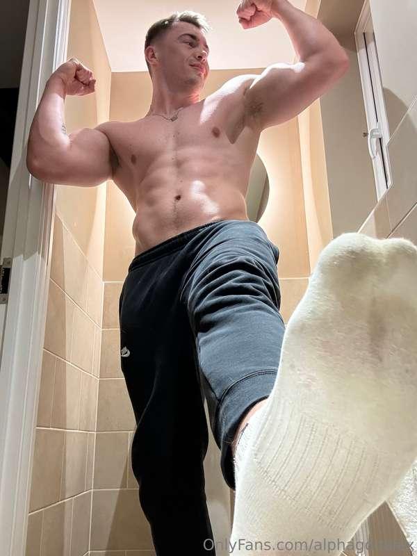 alphagodalex image #1