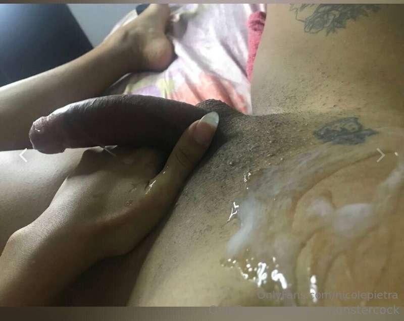 transmonstercock image #0