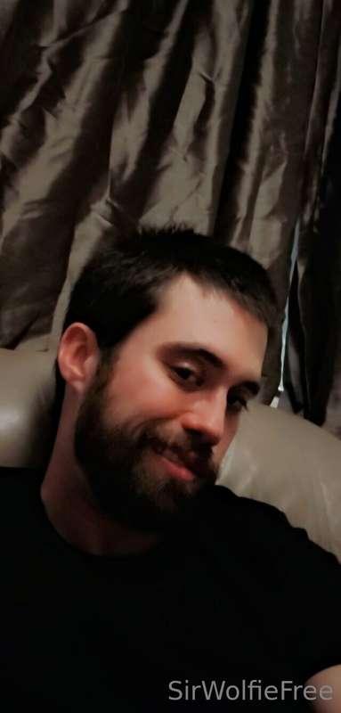 sirwolfiefree image #7