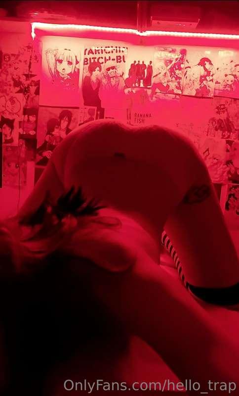 hello_trap image #4