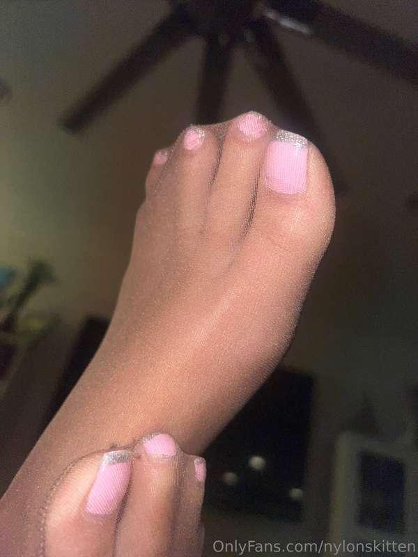 nylonskitten image #5