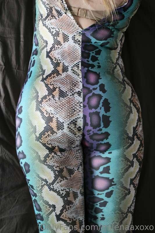 Look at That View of my Big Bubble Butt in my Spandex Snakep..