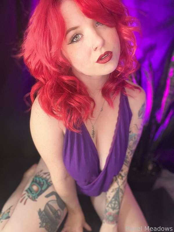 hazelmeadows image #4