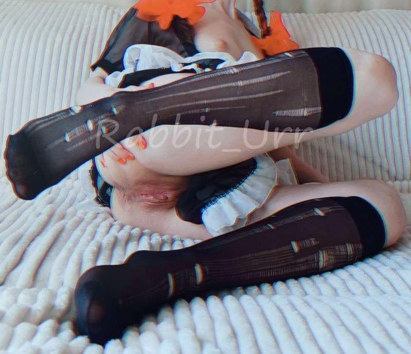 rabbit_urr image #0