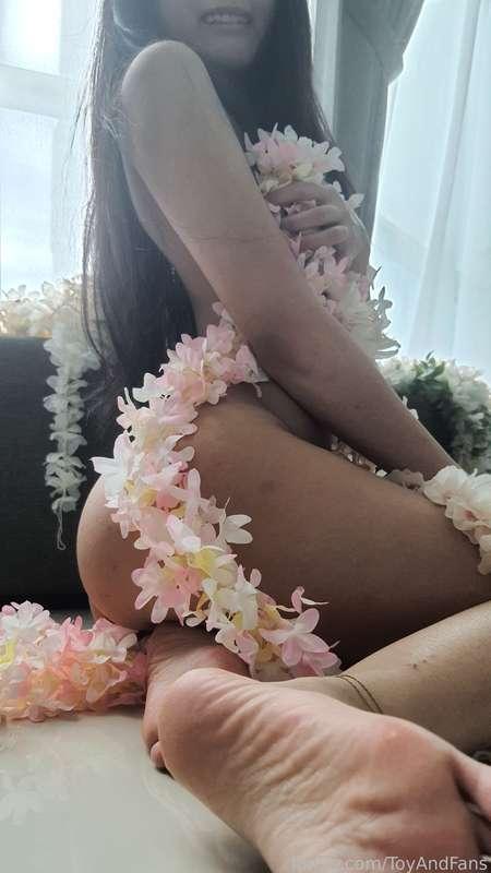 toyandfans image #8