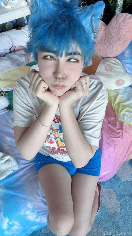 indigowhite image #96