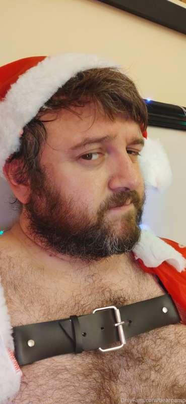 bearpamp main image