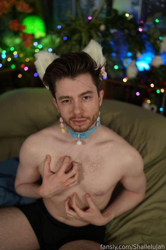 shallelujah image #6