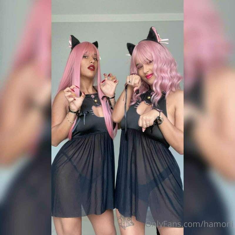 The hottest dancing kittens 🔥