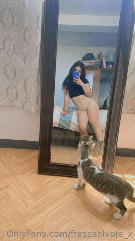 ¿Y mi 👙? 😳🐱