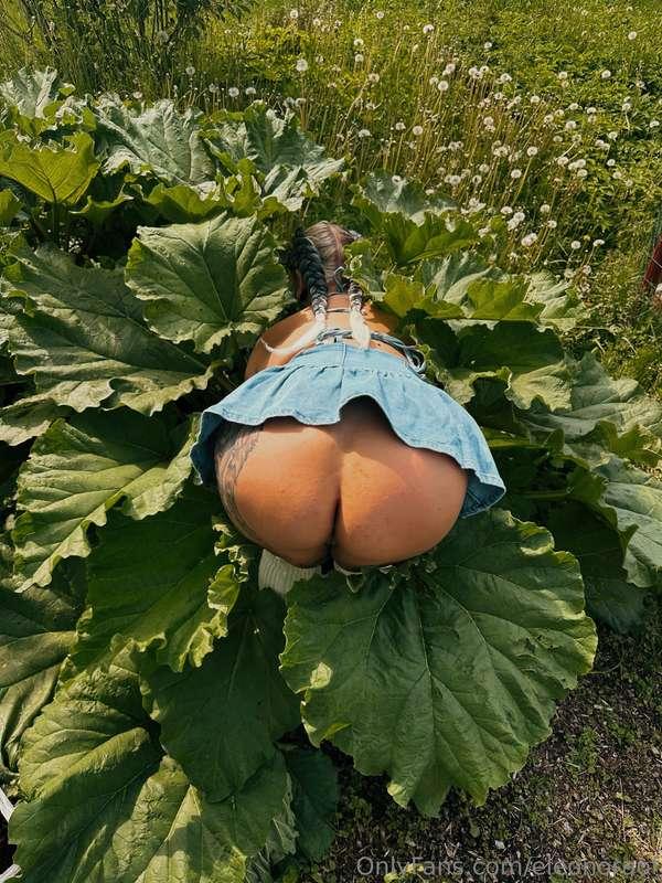 FIN | Tää kasvi ei taida olla raparperi….ENG | This plant ai..