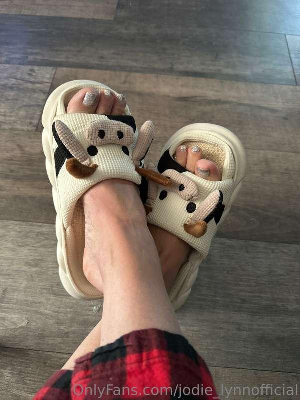 Morning 🐮