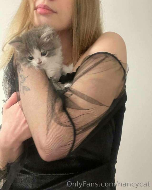 Hi 💖
I got a little kitten, I named the kitten Lil, I took h..