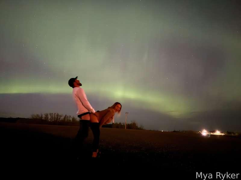 myaryker image #0