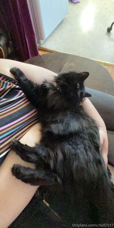 The jelly bean of darkness is needy.