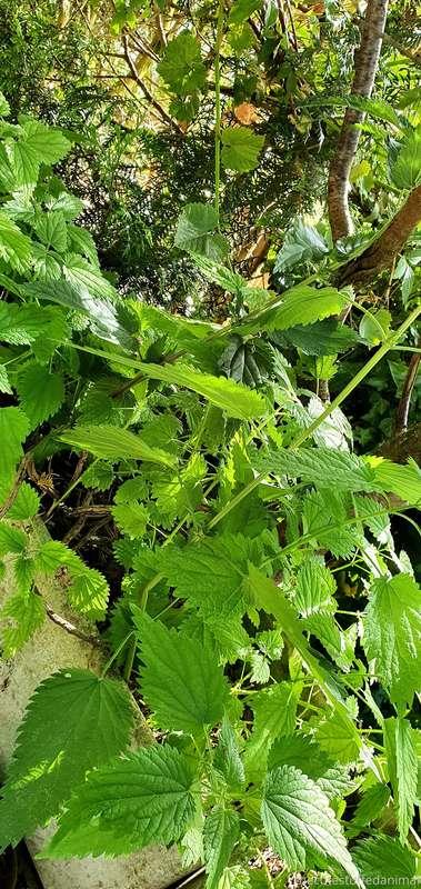 Ok...ok,ok,ok... scheinbar habe ich heute wohl eeetttwasss ü..