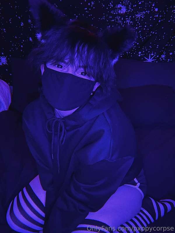 pxppycorpse image #3