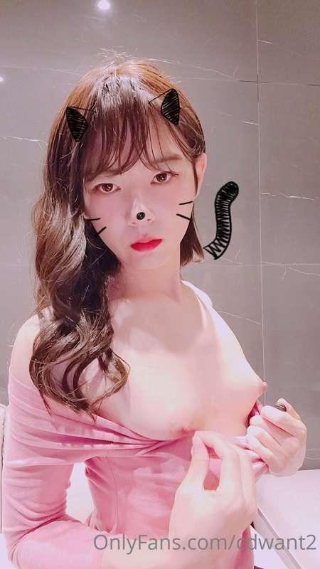 cdwant2 image #1