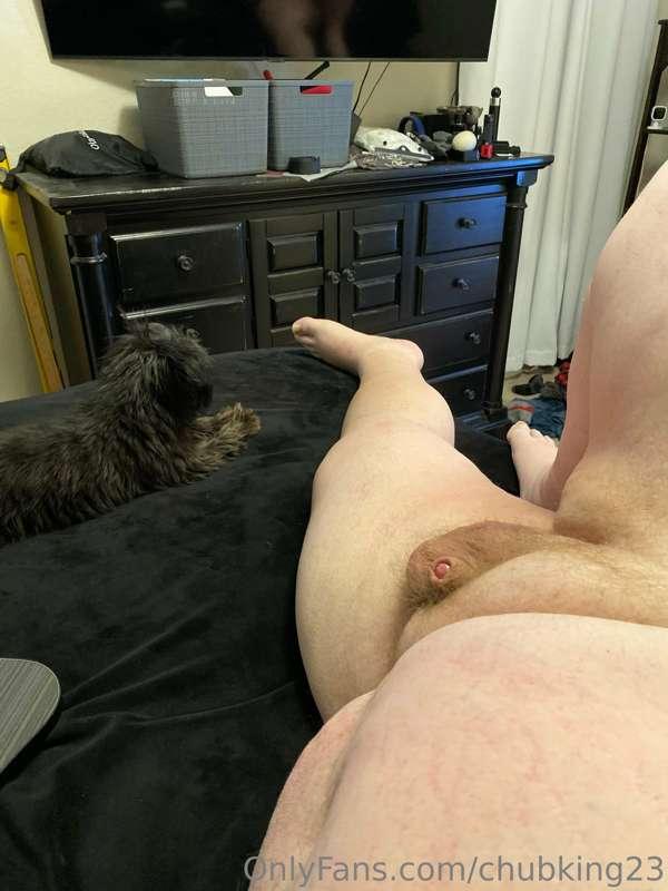 chubking23 image #0