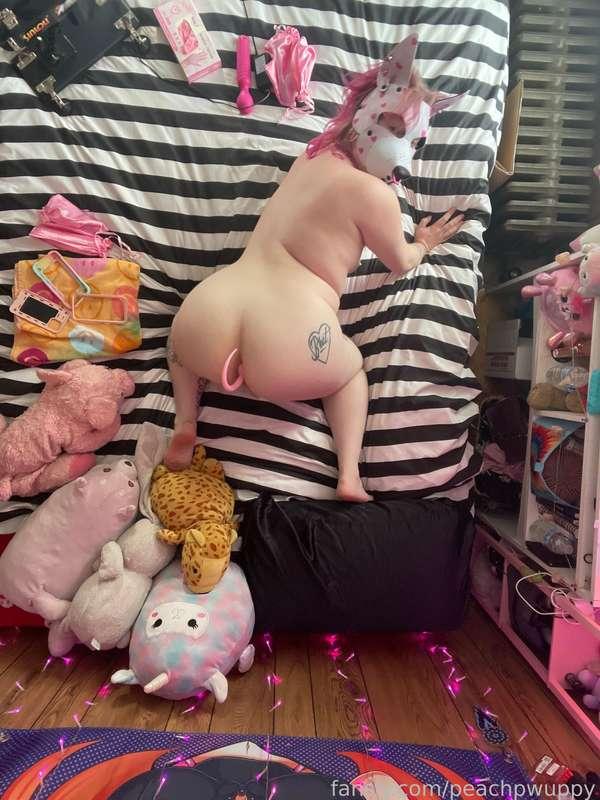 peachpwuppy image #2