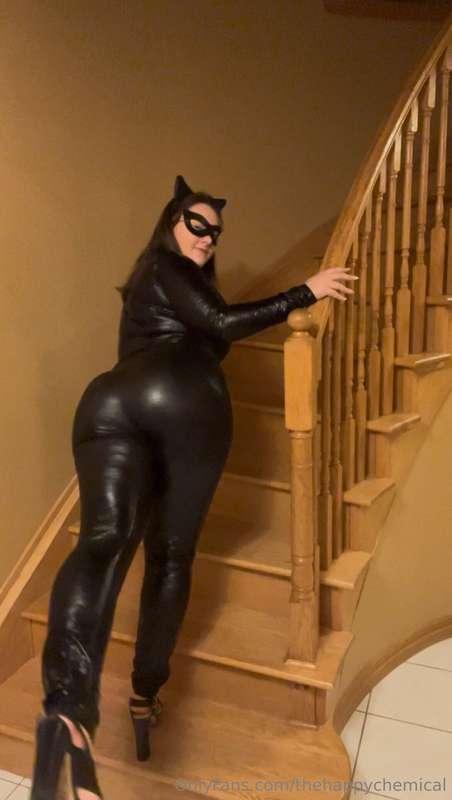 Pov: Im the cat and you are the bat