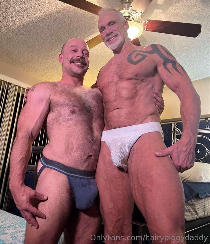 hairypiggydaddy image #1