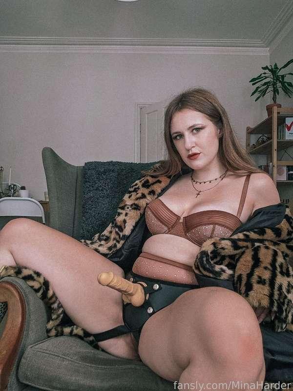 minaharder image #1