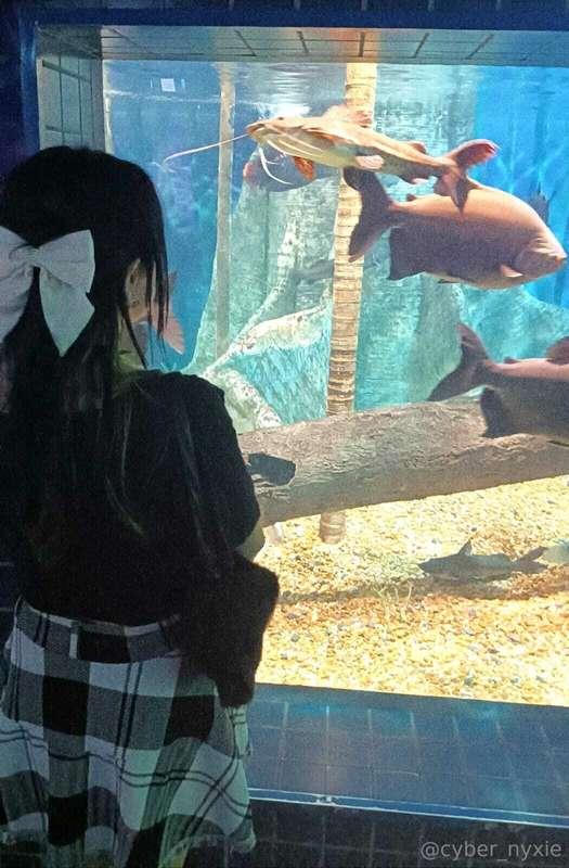 I went to the aquarium and took this beautiful pics there <3