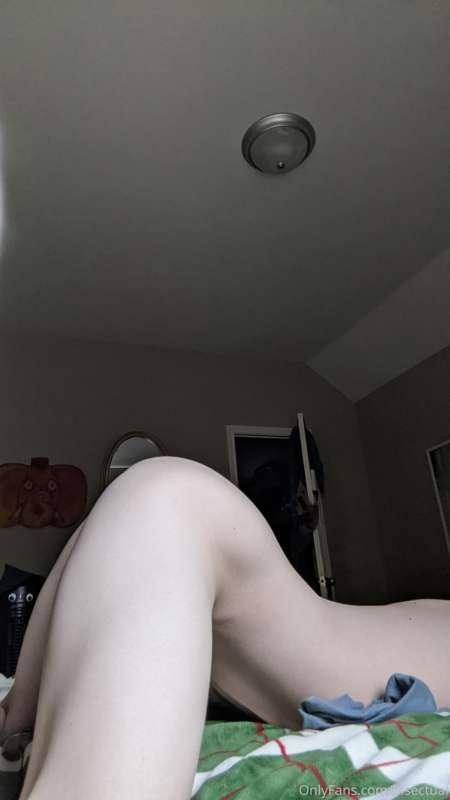 bisectual image #1