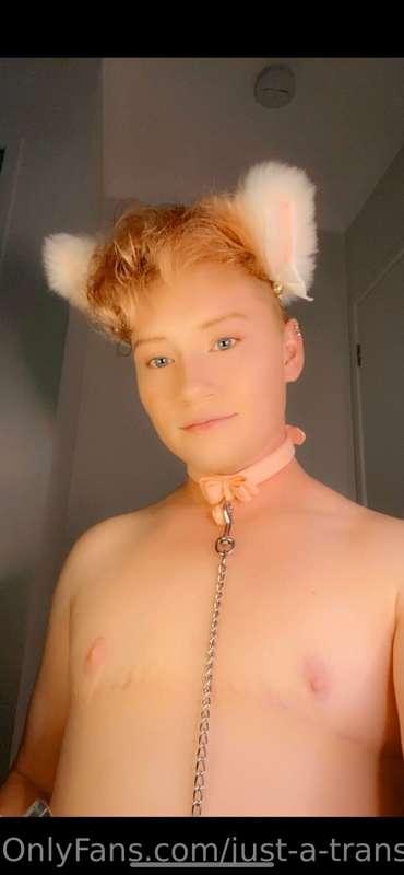 just-a-trans-guy image #5