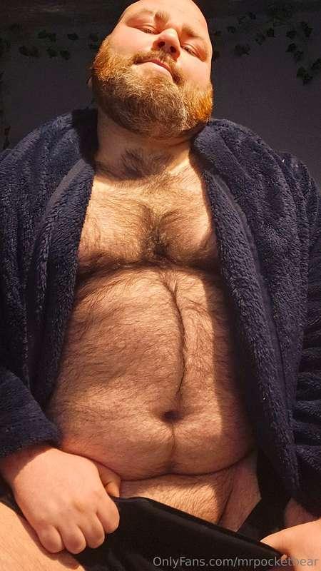 mrpocketbear image #1