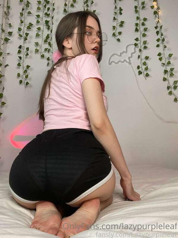 lazypurpleleaf image #4