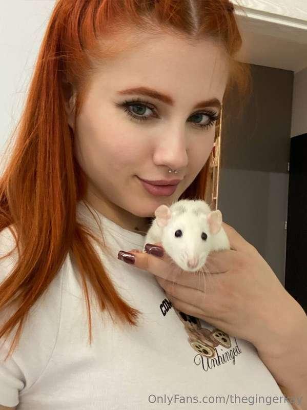 What kind of pet do you have?💕💕
