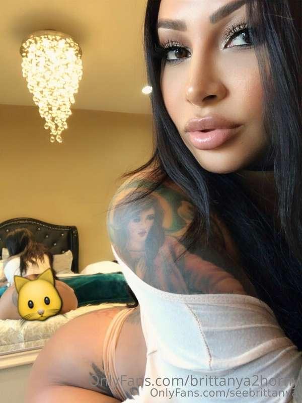 ## 𝙋𝙐𝙎𝙎𝙔 𝙍𝙀𝙑𝙀𝘼𝙇 🐱💦 ### 𝚕𝚒𝚏𝚝𝚒𝚗𝚐 𝚞𝚙 𝚖𝚢 𝚜𝚔𝚒𝚛𝚝 𝚊𝚗𝚍 𝚜𝚑𝚘𝚠𝚒𝚗𝚐 𝚢𝚘𝚞 𝚖..