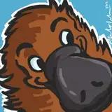 Potheplatypus