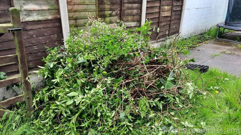 Gardening update.. .my arms are tired!

My garden has been o..