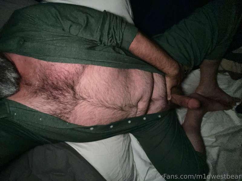 m1dwestbear image #10