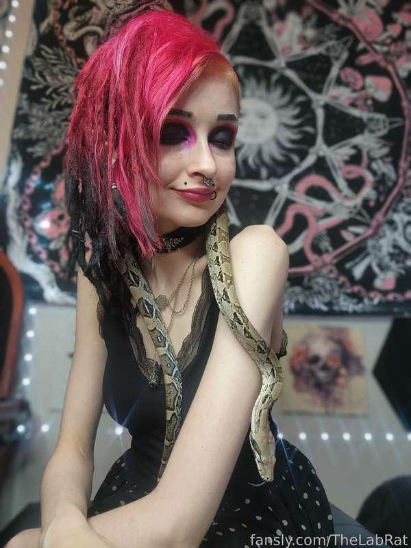 thelabrat image #2